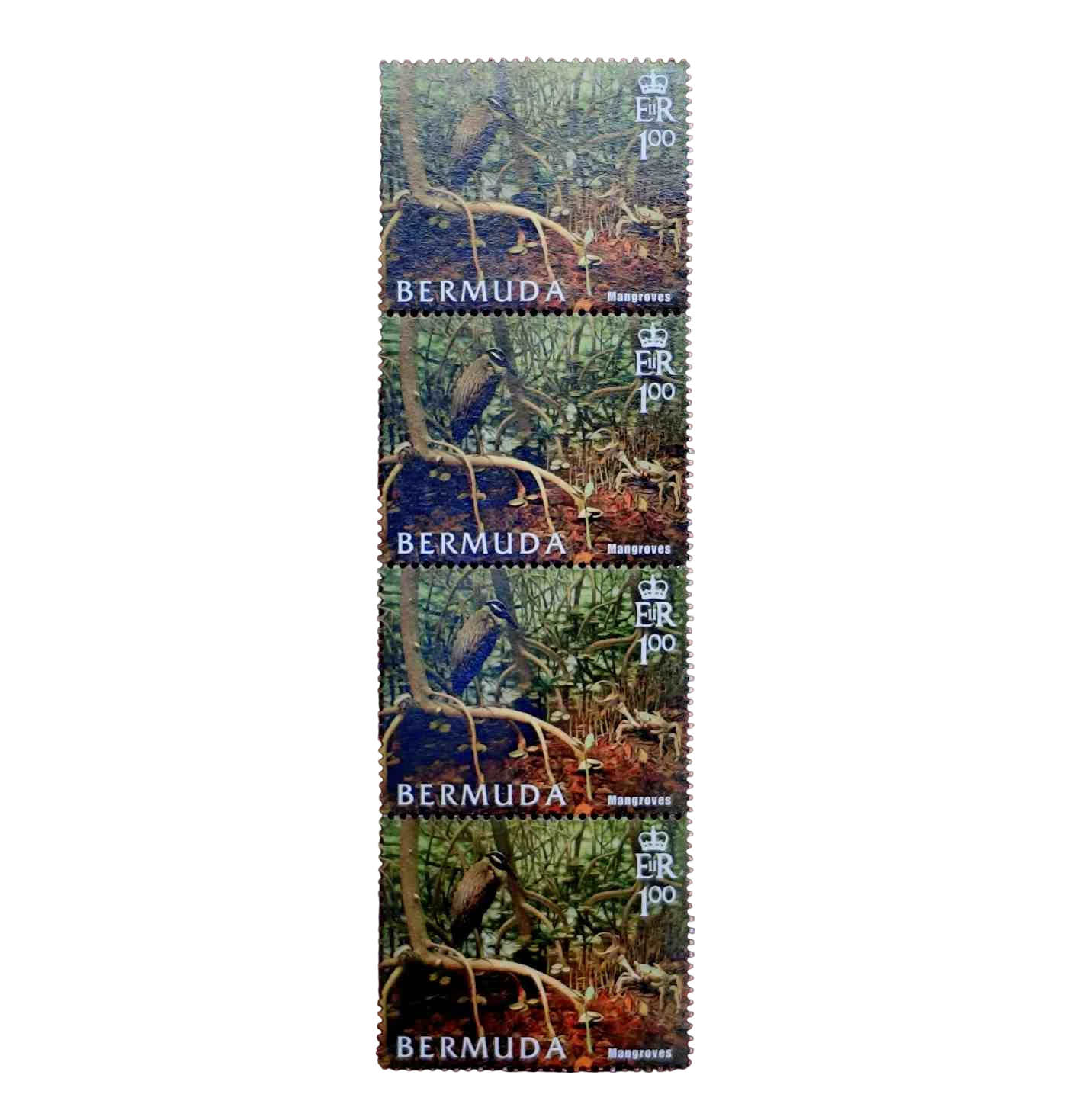 Stamp - Bermuda Mangroves 2005 (4V Stamps)