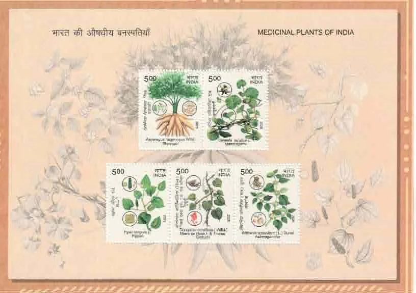 2025 INDIA Medicinal Plants of India Miniature Sheet