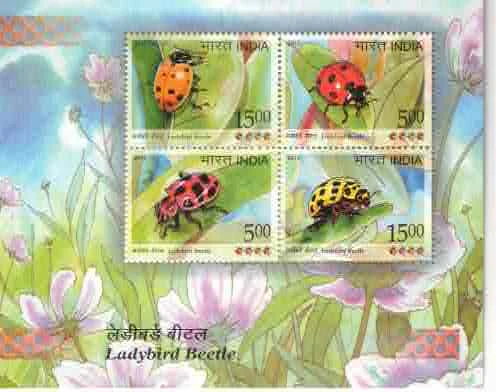 2017 Ladybird Beetle Miniature Shee