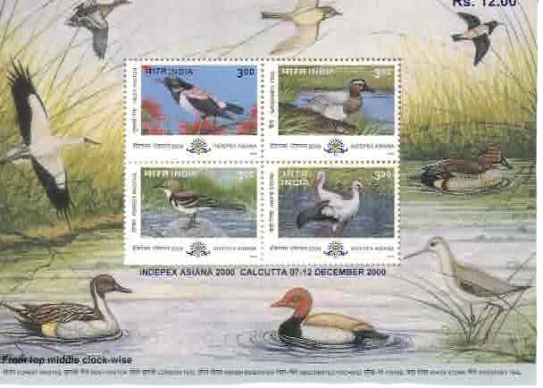 2000 Indepex Asiana 2000 : Asian International Philatelic Exhibition - Birds Miniature Sheet