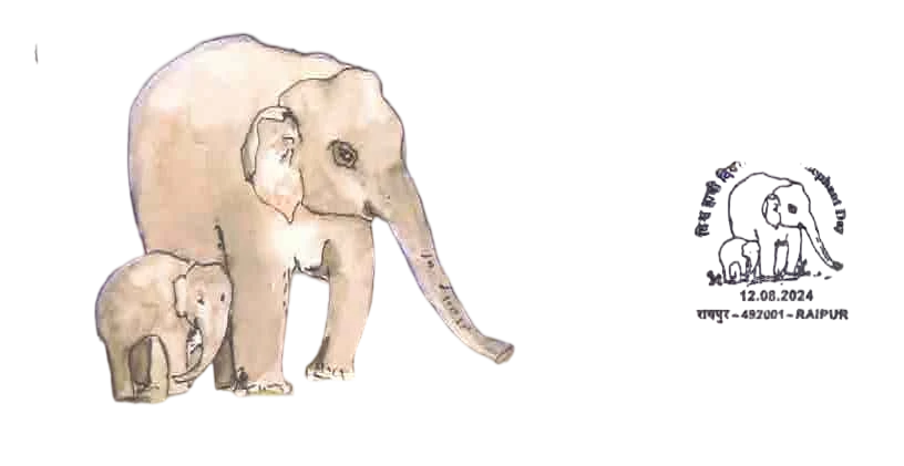 SPC WORLD ELEPHANT DAY 12-08-2024