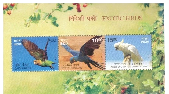 2016 Exotic Birds 1 Miniature Sheet