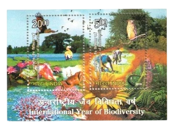 2010 INTERNATIONAL YEAR OF BIODIVERSITY MINIATURE SHEET MNH