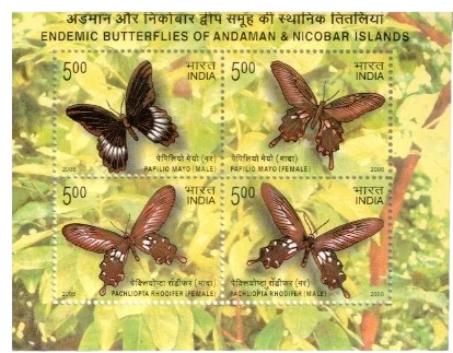 2008 Endemic Butterflies of Andaman & Nicobar Islands Miniature Sheet