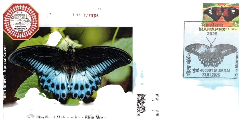 SPC MAHAPEX STATE BUTTERFLY MAHARASTRA BLUE MORMON MUMBAI 2025
